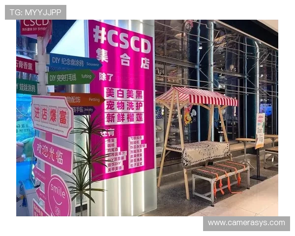 乐天娱乐标志正式亮相，展现公司未来发展战略与品牌形象的全新升级