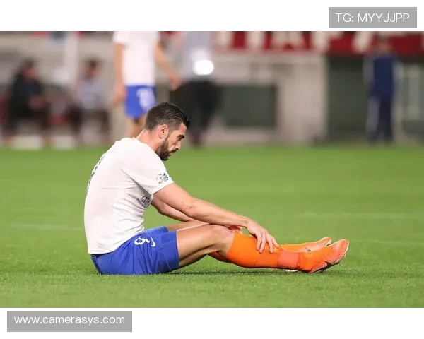 博体网足球比分实时更新,满足不同用户对足球比赛信息的多样化需求 博体网足球比分实时更新,满足不同用户对足球比赛信息的多样化需求