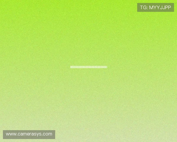 博途官网首页：全面了解博途软件的最新动态与功能介绍