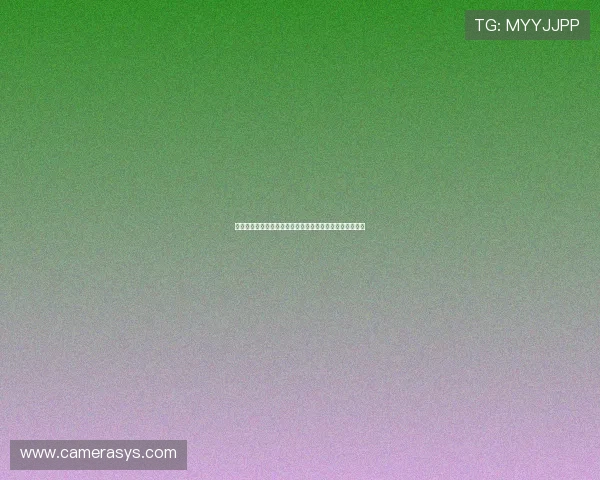 彭博资讯中文网:多角度解读金融市场动态的专业资讯平台 彭博资讯中文网:多角度解读金融市场动态的专业资讯平台